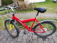 Fahrrad / Mountainbike Marke Pegasus Top Zustand Bayern - Landau a d Isar Vorschau