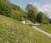 Rasen mähen/ Steilhang mähen/ Baden-Württemberg - Tübingen Vorschau