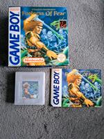 Gameboy Spiel Wizards and Warriors x Fortress of Fear Dortmund - Innenstadt-West Vorschau