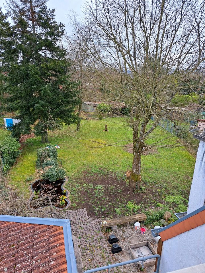 Haus mit großem Grundstück Bauplatz in Ramstein in Eisenberg 