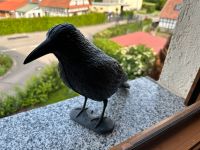 Kunststoffrabe als Vogelabschreckung Deko Baden-Württemberg - Rheinau Vorschau