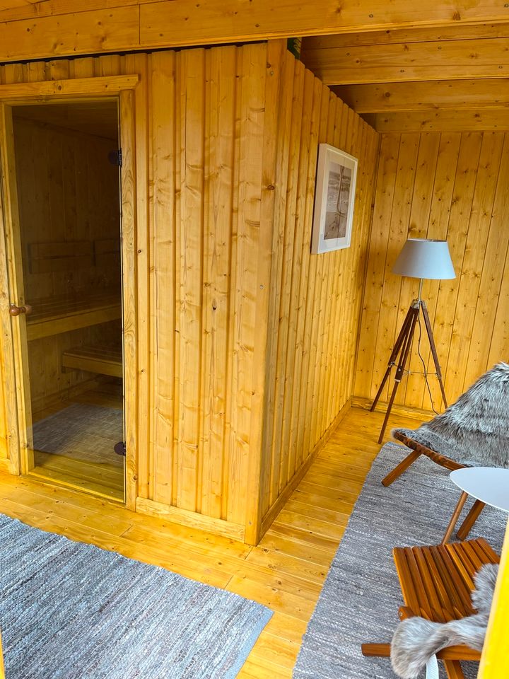 „Hilde“ Ferienhaus am See Urlaub Sauna Kamin Boot Angeln Surfen in Delitzsch