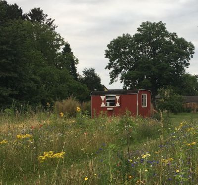 Bauwagen, Tinyhouse, Schäferwagen, Gartenhaus, Atelier, Wohnwagen in Linnich