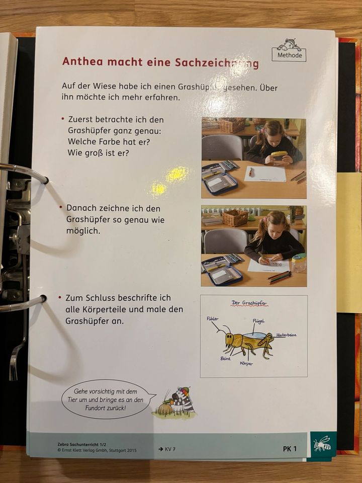 Sachunterricht Klasse 1 / 2 Grundschule Lehrermaterial Zebra in Dresden