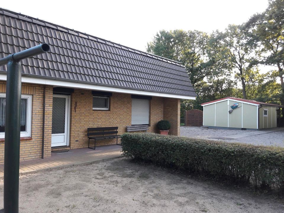 Ferienwohnung,Nordsee Nähe,v. Natur, Reiten,angeln, Kutschfa, in Hollingstedt b Delve Holst