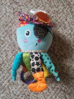 Tomy Lamaze Captain Calamari Sachsen - Crottendorf Erzgebirge Vorschau