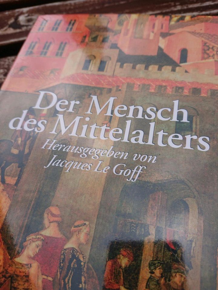 Buch neu Mensch des Mittelalters Jacques Le Goff in Stein