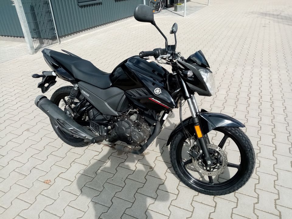 Motorrad Yamaha YS 125 -5C in Edewecht