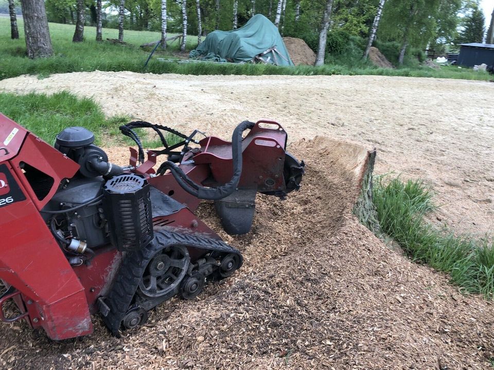 Baumwurzel entfernen, Stubbenfräsen, Baufeldrodung, Rodung in Langwedel