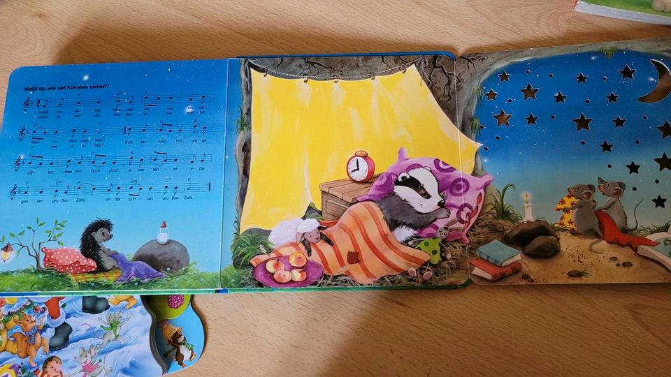 Bücher Ostern, Weihnachten, Liederbuch Weihnachten, Schlaflieder in Dresden