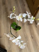 Künstliche Orchidee Hessen - Schotten Vorschau