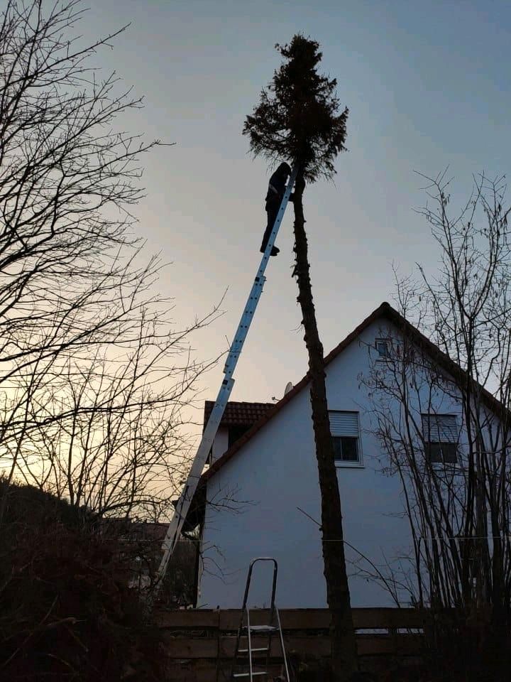 Große Mehrzweckleiter 3 Teilig Vermietung in Großaitingen