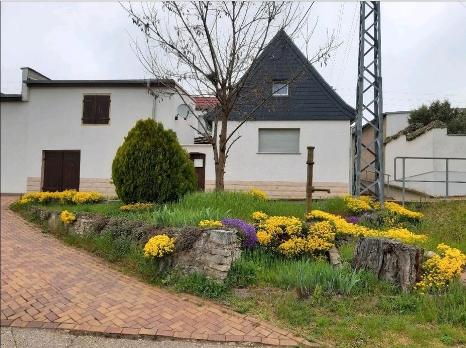 Haus zu vermieten in Bernburg (Saale)