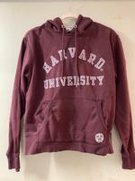 Hoodie H&M Logg Größe M weinrot Bayern - Kirchehrenbach Vorschau