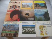 Verschiedene Schallplatten /siehe Bilder / je Schallplatte € 1,00 Hessen - Idstein Vorschau