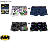 Batman Superheld Boxershorts Unterhose Junge 6/8 Jahre Baden-Württemberg - Ostrach Vorschau