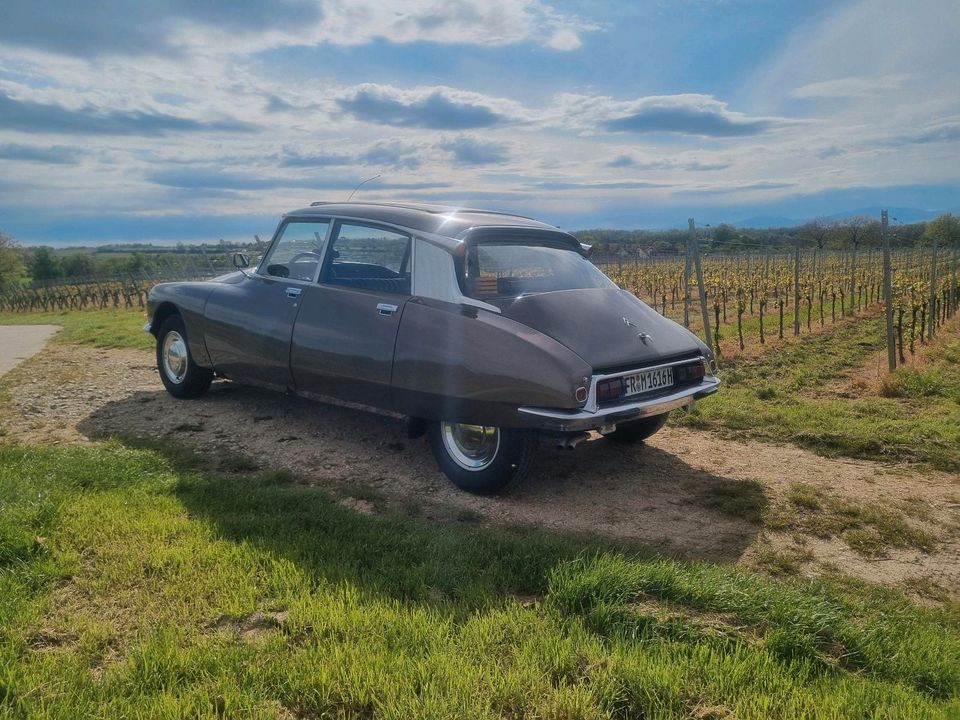 Citroen DS (ID) 20 D Super in Buggingen