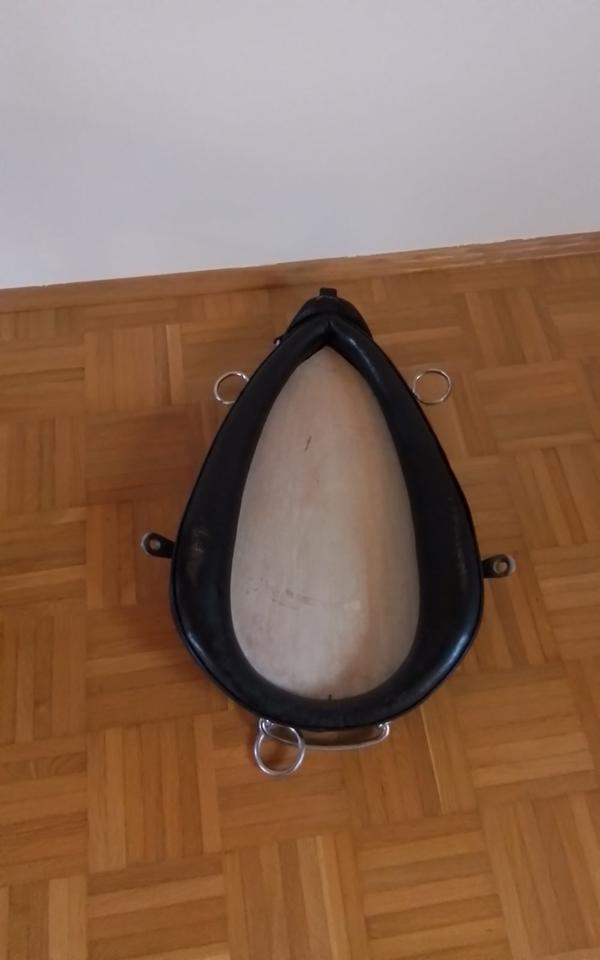 Pferdegeschirr Kummet mit Acrylbild "Pferdekopf" Deko in Utting