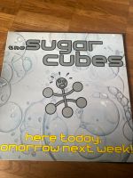 LP Sugarcubes Dresden - Neustadt Vorschau