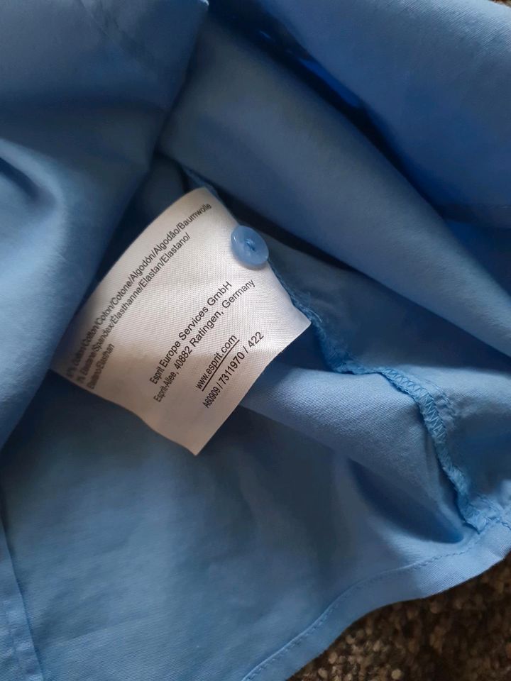 Esprit Bluse Shirt Top Gr. 40 hellblau top Zustand in Bayern - Allershausen  | eBay Kleinanzeigen ist jetzt Kleinanzeigen