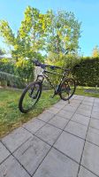 Bulls Copperhead 3 Rainbow 29 Zoll   Mountainbike Bayern - Neuburg a.d. Donau Vorschau