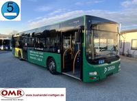 MAN A 21 Lion´s City/ EEV/ O 530 Citaro/ A 20 Bayern - Untersteinach Vorschau