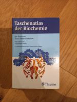 Taschenatlas der Biochemie Brandenburg - Potsdam Vorschau