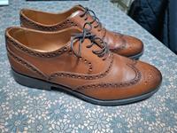 Geox Schuhe- Herren in Größe 43 Echtleder-neu! Nordrhein-Westfalen - Hamm Vorschau