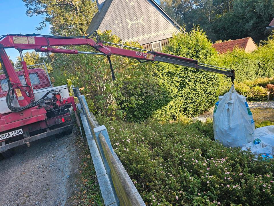 Kaminholz Brennholz Birke  frisch 25/30/33/40/45|50 Lieferung in Kodersdorf