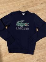 Lacoste Pullover Niedersachsen - Bad Pyrmont Vorschau