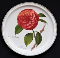 VILLEROY & BOCH Sammelteller 1989 Camellia Eximia Nordrhein-Westfalen - Düren Vorschau