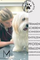 Hundefriseur Eimsbüttel - Hamburg Eidelstedt Vorschau