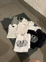 Pullover zu verkaufen Dresden - Pieschen Vorschau