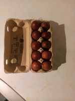 Bruteier Marans schwarz-kup zu imlfer bh bfranzösische Zuchtlinie Brandenburg - Biesenthal Vorschau