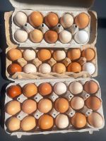 Eier, Hühnereiern Nordrhein-Westfalen - Düren Vorschau