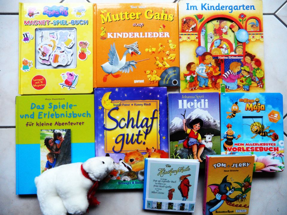 Magnet-Spiel-Buch Eisbär Stofftier Pop Up Guckloch Kinderbuch in Potsdam
