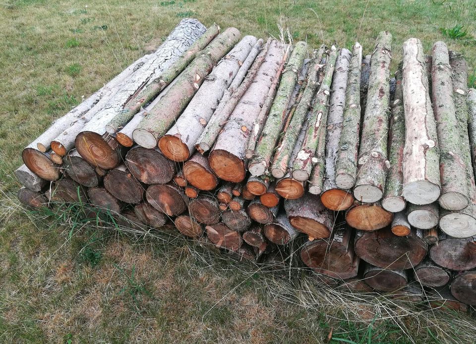 Feuerholz 1m Meterholz Meterstücke Holz Stihl in Pausa/Vogtland