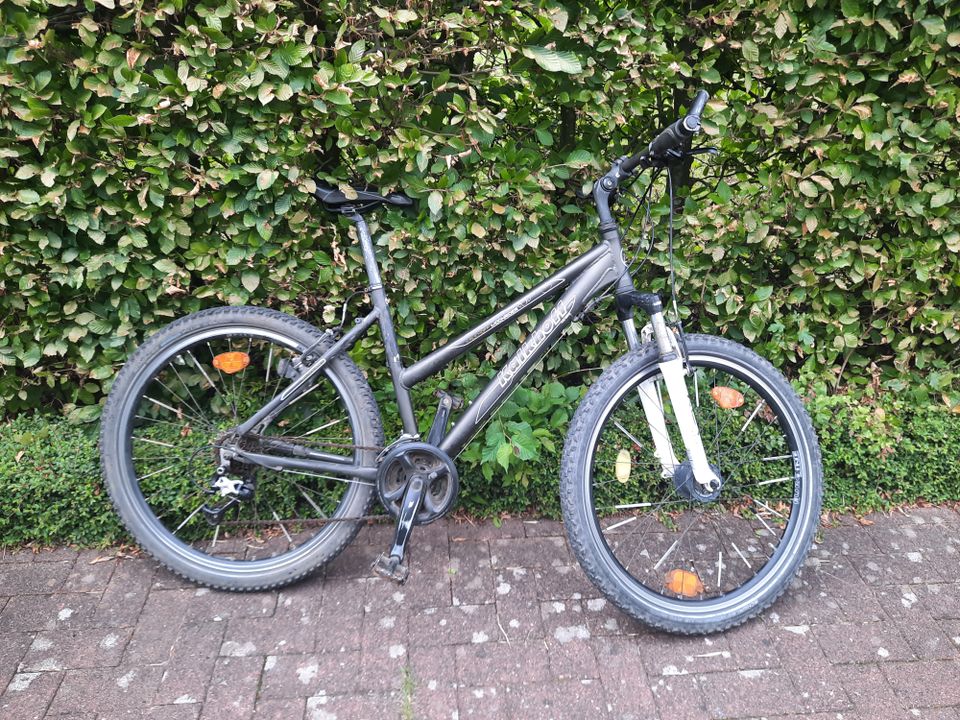 Kalkhoff Moonrider Mountainbike 26 Zoll in Dänischenhagen