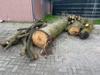 Eichenstämme / Feuerholz Niedersachsen - Scheeßel Vorschau