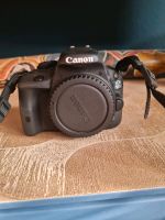 Canon EOS 100D, sehr guter Zustand incl. EF -S 18-55 IS STM Hessen - Groß-Gerau Vorschau