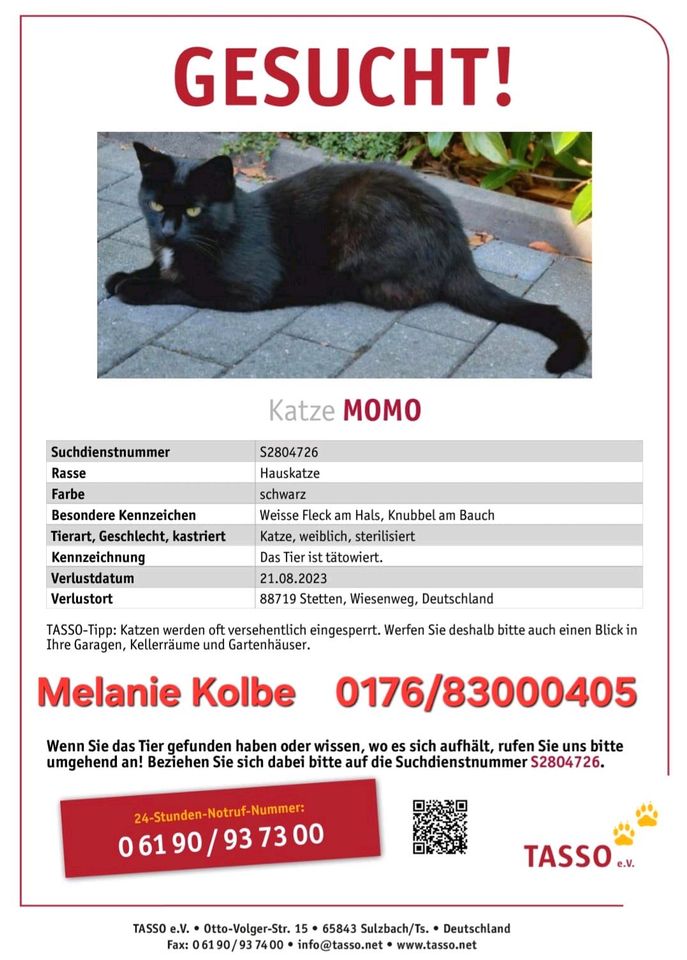 Schwarze Katze vermisst in Stetten