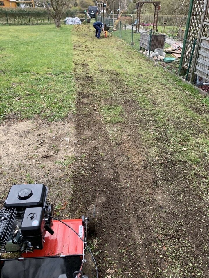 Hecke schneiden Gartenhilfe Heckenschnitt Gartenarbeit in Flintbek