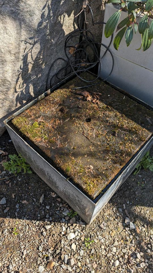 Restbestände aus Gartenbaubetrieb zu verkaufen, in Oftersheim