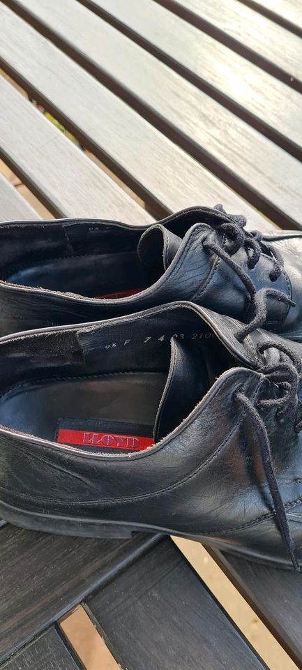 Menner Schuhe von lloyd  gut Zustand  in schwarz in Herford