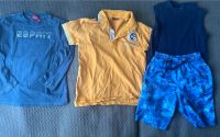 3 Shirts und Shorts in Gr. 128/134. Berlin - Wilmersdorf Vorschau