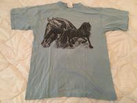 Damen T-Shirt, B & C der Größe M Bayern - Sulzbach a. Main Vorschau