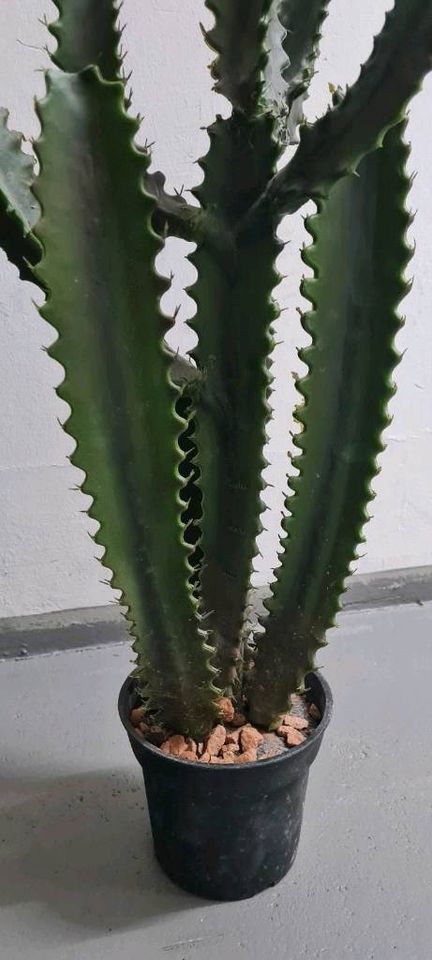 Kunstpflanze  Kaktus   künstlich mit Topf in Kelkheim