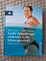 Buch sanfte Behandlungsmethoden in der Schwangerschaft Baden-Württemberg - Pfullingen Vorschau