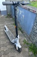 E-scooter Ninebot Roller Nordrhein-Westfalen - Bünde Vorschau