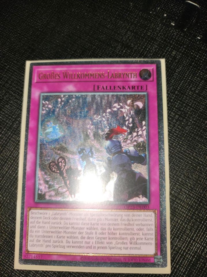 Yugioh großes willkommens labrynth in Munster